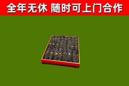 神湾镇回收海参